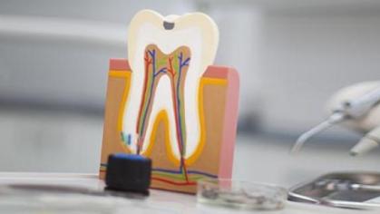 tooth